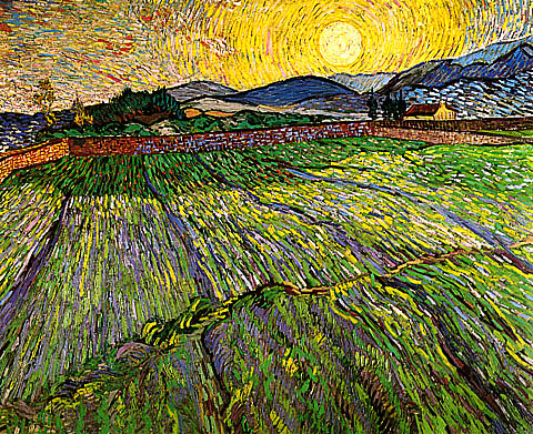 enclosed_field_with_young_wheat_and_rising_sun.jpg