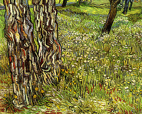 field_of_grass_with_dandelions_and_tree_trunks.jpg