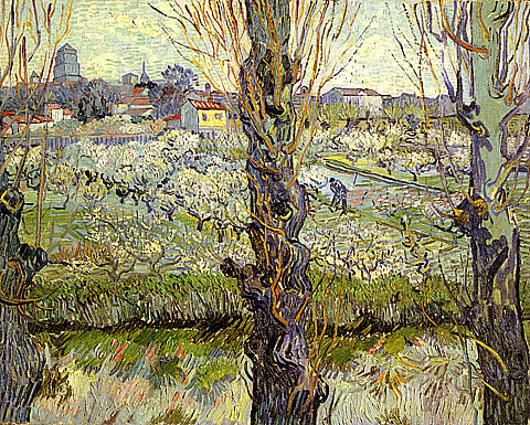 orchard_in_bloom_with_poplars.jpg