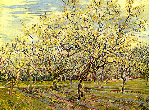 orchard_with_blossoming_plum_trees.jpg